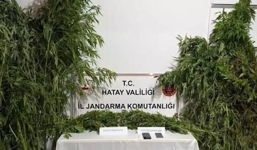 Hatay’da jandarmadan uyuşturucu operasyonu: 2 gözaltı