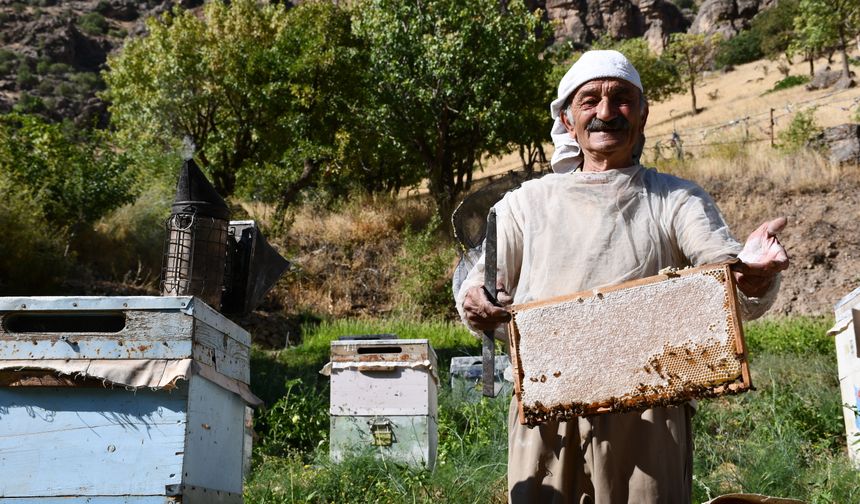 Arıcılık mesleğini 51 yıldır yapıyor