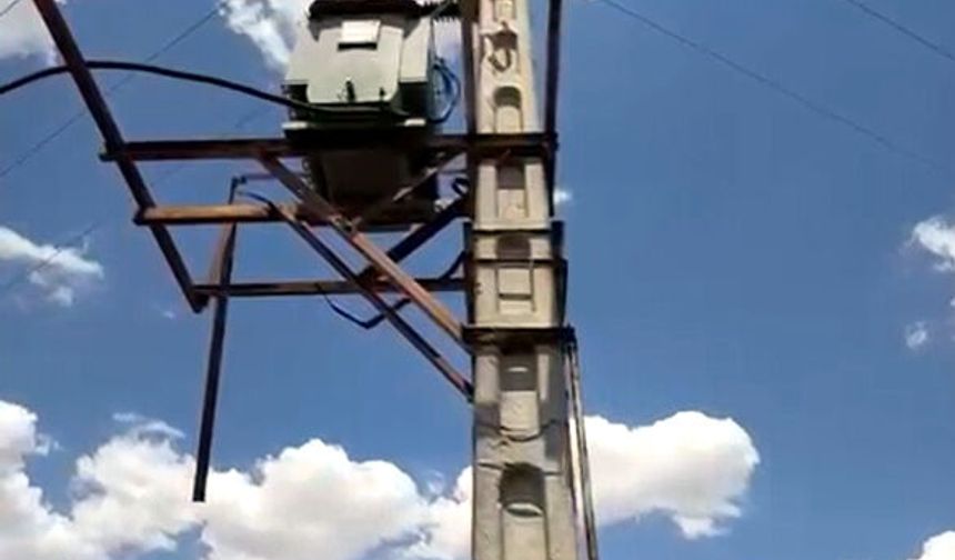 Akıma kapılan kuş anız yangınına neden oldu