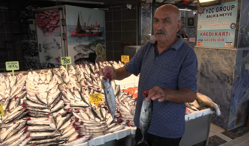 Av yasağı sona eriyor