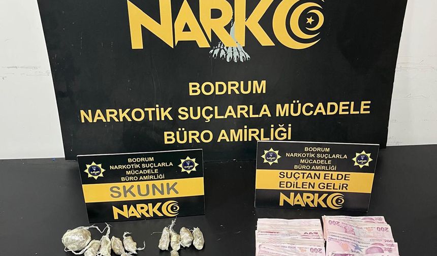 Bodrum'da uyuşturucu operasyonu