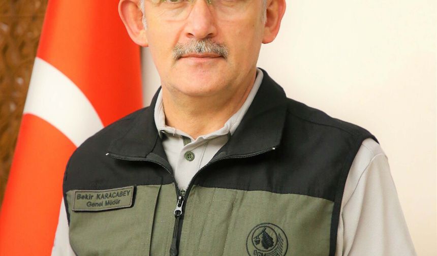 Çanakkale'de orman yangınlarında büyük düşüş
