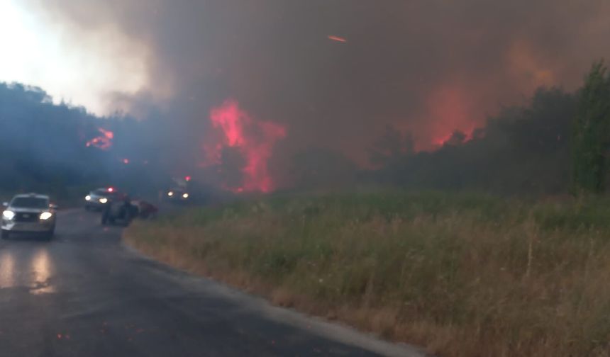 Çanakkale'de Otluk Alanda Yangın Ormana Sıçradı!