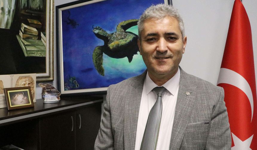 İztuzu Plajı’nda Caretta Caretta Uyarısı: ‘Beslemeyin, Dokunmayın, Yaklaşmayın’