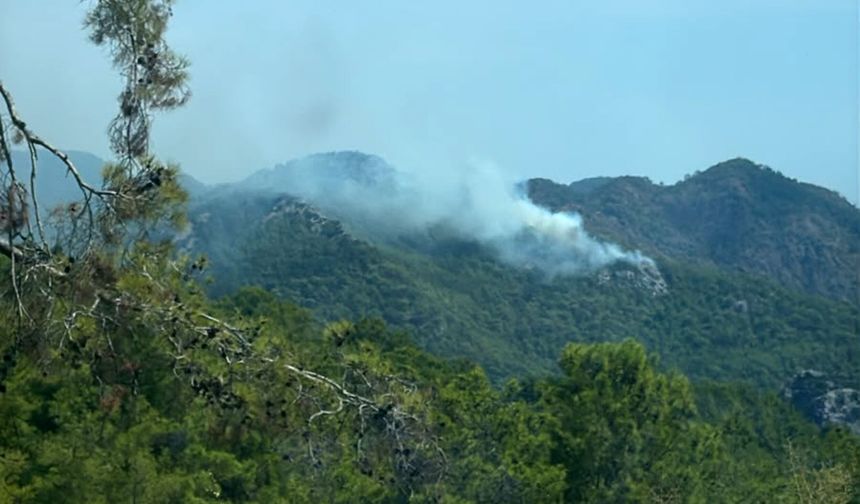 Kemer'de orman yangını
