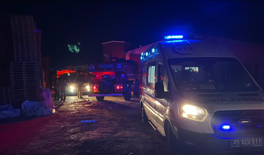 Manisa’da palet fabrikasında yangın: Fabrikada hasar oluştu