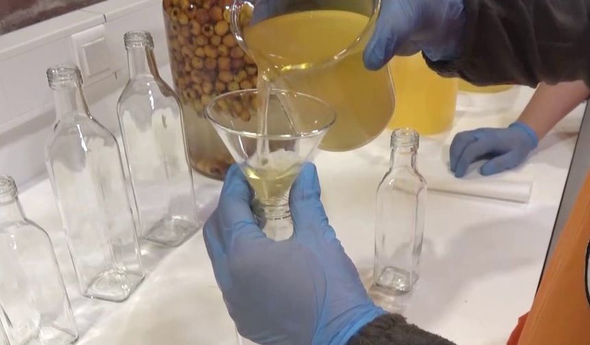 Sirke, Sarımsak ve Limonlu Su Kalp Damarlarını Açar mı?