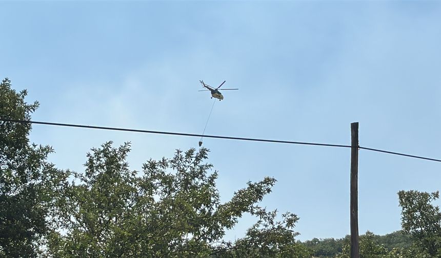 Tarlada çıkan yangın ormana sıçradı