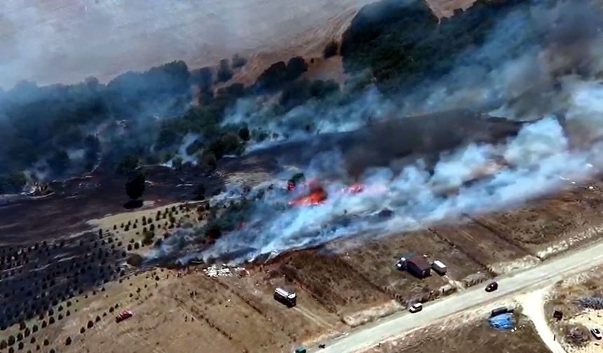 Tekirdağ'da yangın paniği: 100 dekar alan zarar gördü