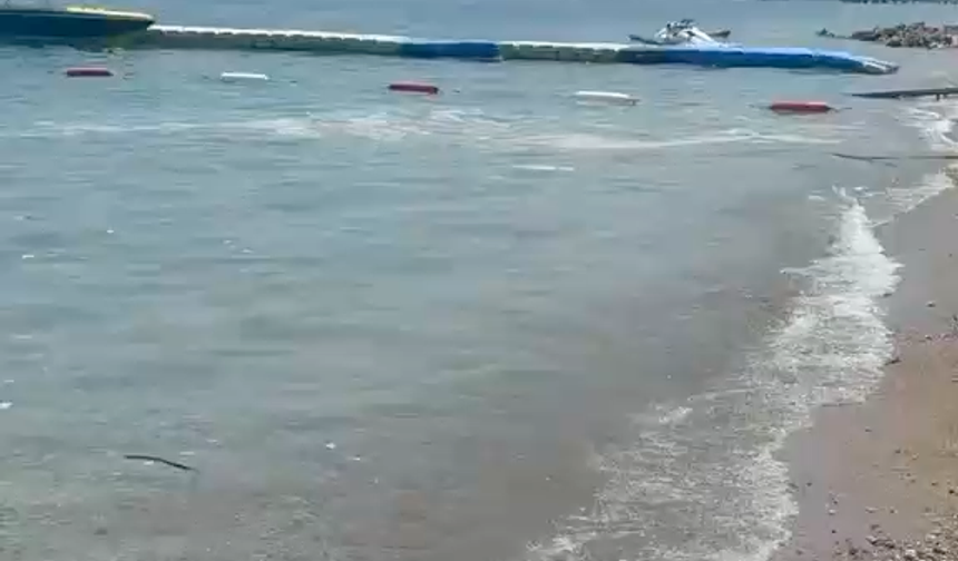 Antalya'nın Sahilleri Çöplüğe Döndü!