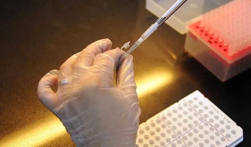 Yapay Zeka Laboratuvar ve Fabrikalarda Cihazları Yönetmeye Başlıyor