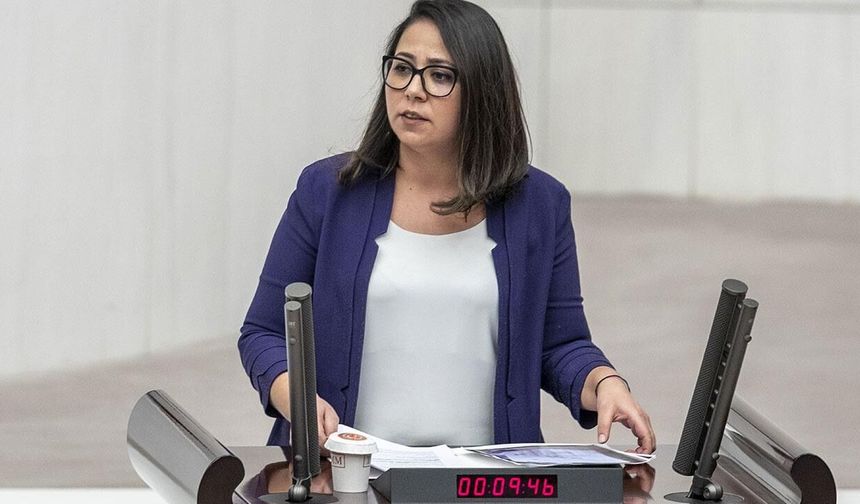 TİP Milletvekili Sera Kadıgil Hakkında Re'sen Soruşturma