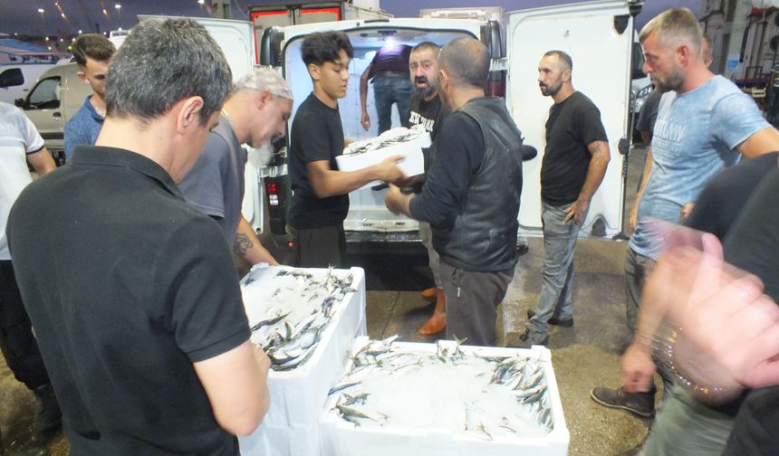 Bandırma Balık Hali’nde sezonun ilk günü hareketli başladı