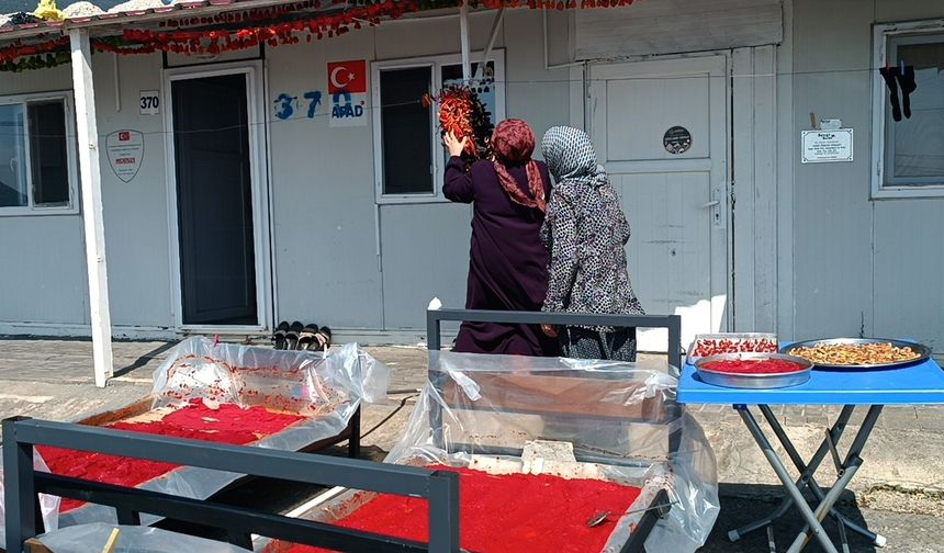 Depremzede kadınların 'salça' telaşı