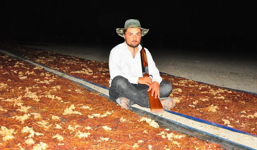 Manisa ovasında tüfekli nöbet