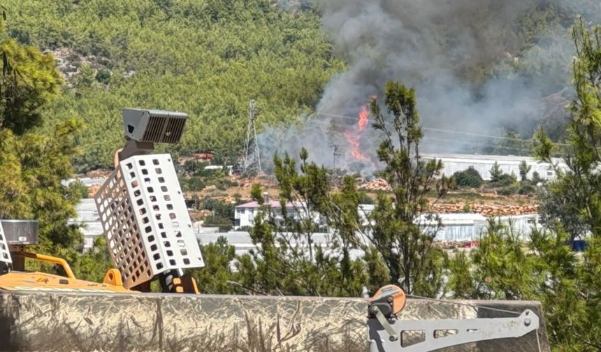 Mersin'de orman yangını