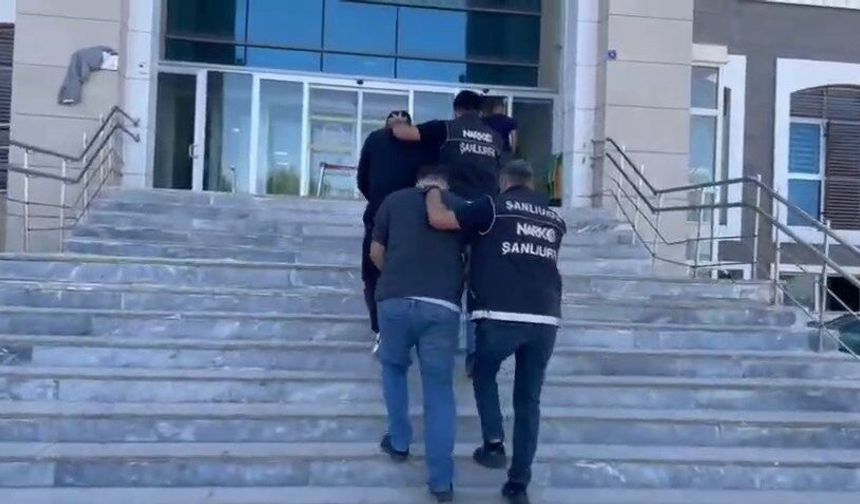 Şanlıurfa'da 9 kilo 550 gram skunk ele geçirildi