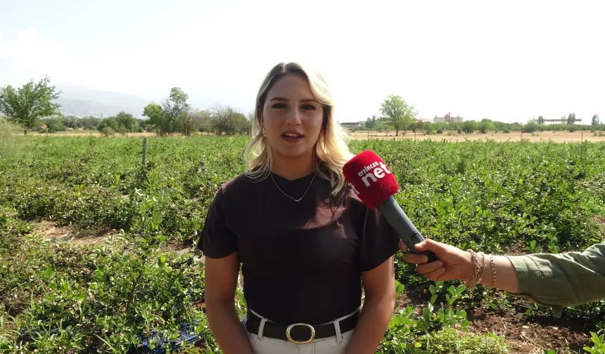 Dondurma yerken tanıştı, kendi çiftliğini kurdu! 20 yaşında aronya üreticisi oldu