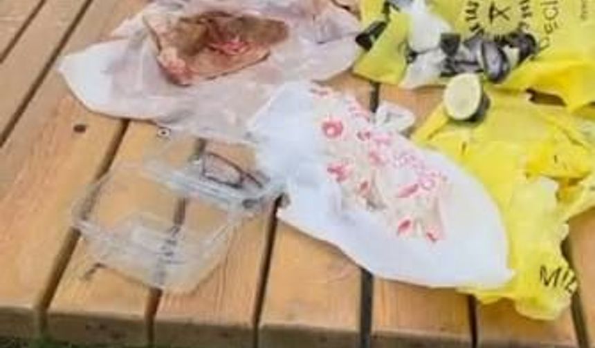 İskenderun’da pes dedirten görüntü! Çöpleri bırakılan masa “sanat eseri” ilan edildi