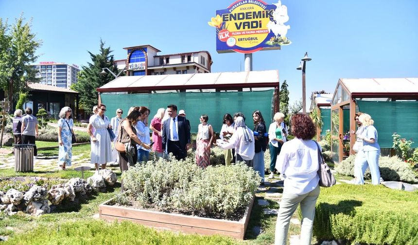 Pursaklar’da Özel Misafirler: Ankara’nın ‘4 Beyazı’ Büyükelçi Eşlerine Tanıtıldı!