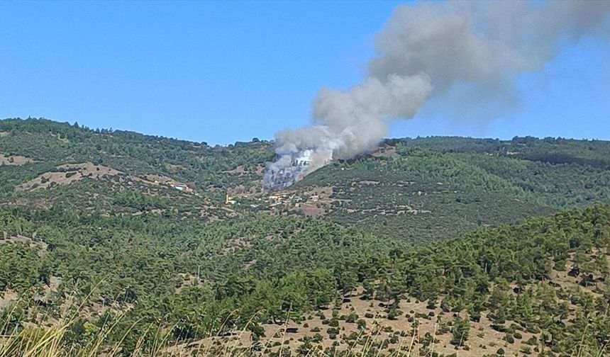 Bursa’nın Büyükorhan ilçesinde orman yangını çıktı