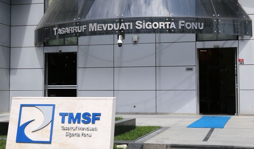 Tera Yatırım Teknoloji Holding’e TMSF Ataması!