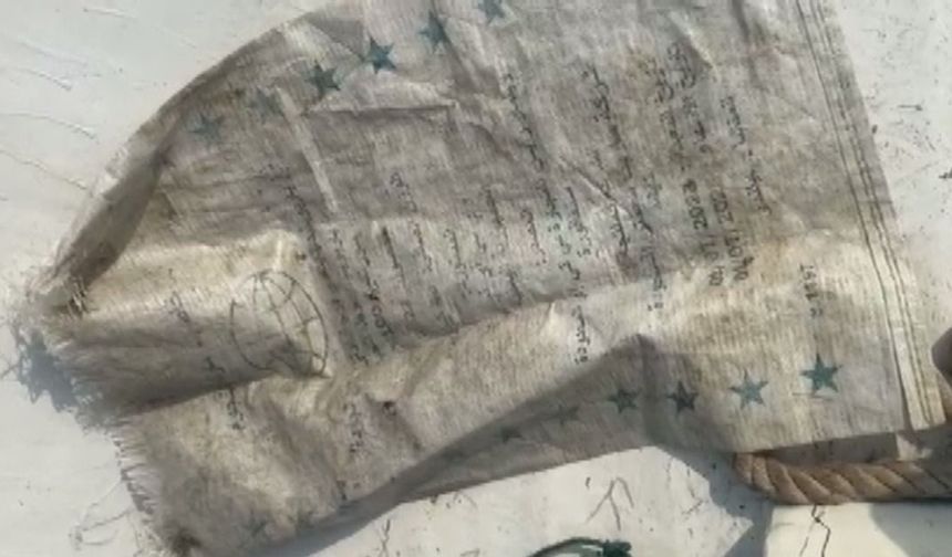 Deniz çöpleri, istilacı türleri taşıyor