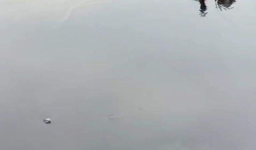Tankerler çarpıştı
