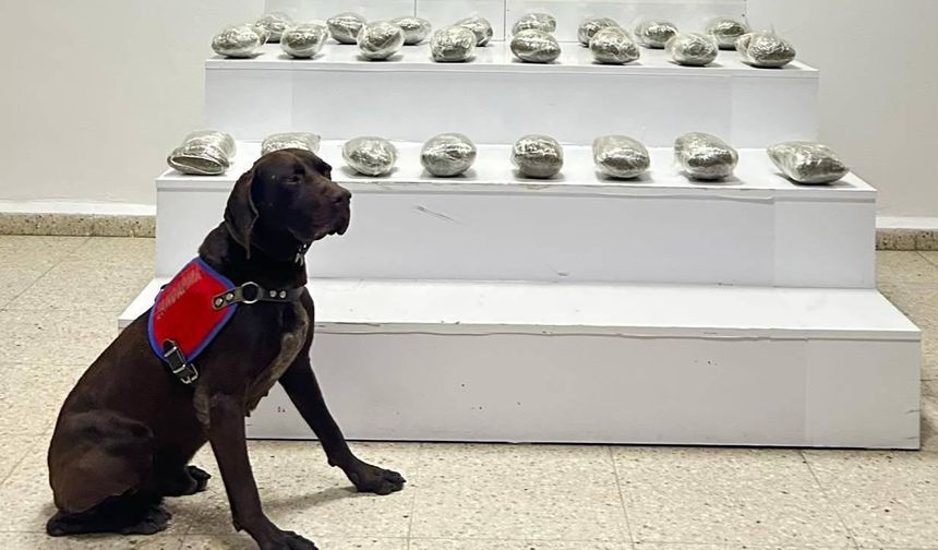 Van’da Uyuşturucu Operasyonu: Araçtan 10 Kilo Esrar Çıktı!