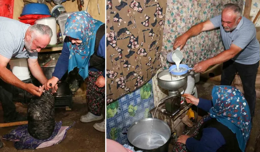 Konya’da 10 ton peynir mağaralardan dualarla çıkarıldı!