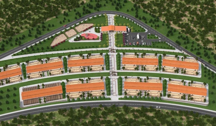 Altındağ'da sokak hayvanları için yeni merkez