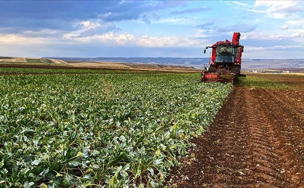ABB ve Beypazarı Belediyesinden çiftçilere nakit desteği