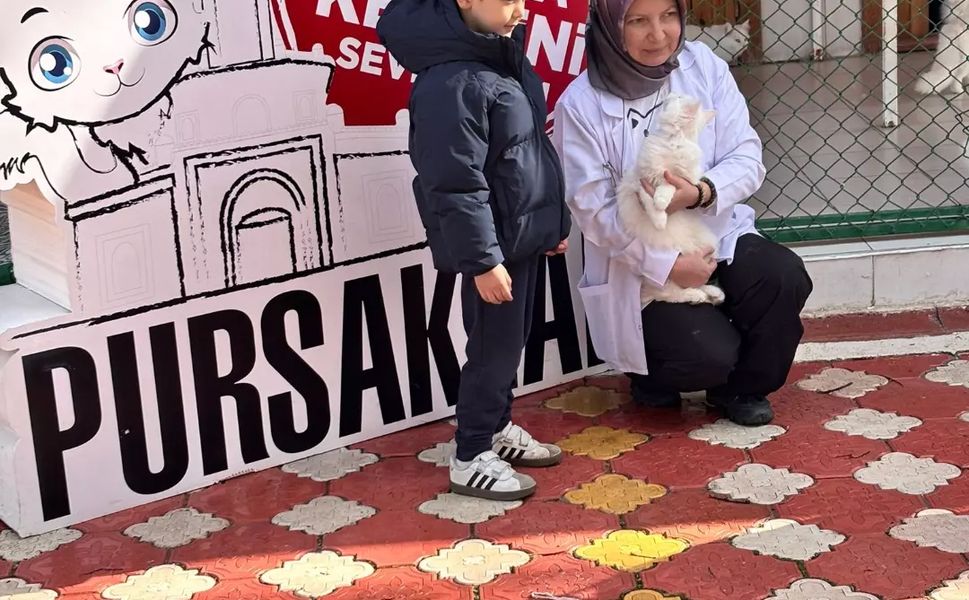 Miniklerden Ankara Kedilerine Sevgi Dolu Ziyaret