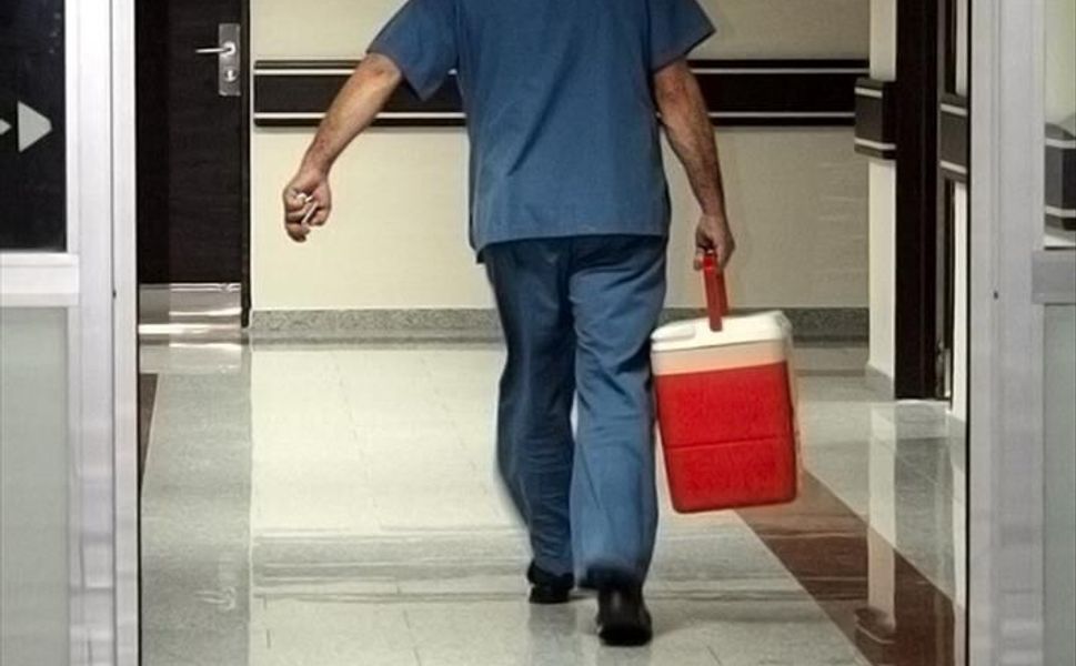 e-Devlet Üzerinden Organ Bağışında Rekor Artış