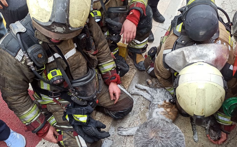 Ankara’daki Yangında “Paytak” ve “Şanslı” Kalp Masajıyla Hayata Döndü