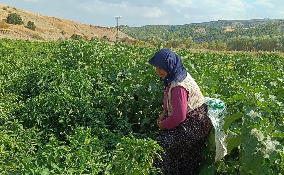 Depremzede kadınlar üretimle ayağa kalktı