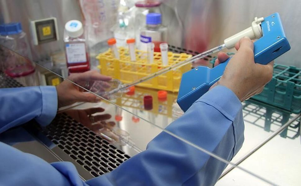 Uçuk Virüsü Kanserle Savaşta Umut Oldu