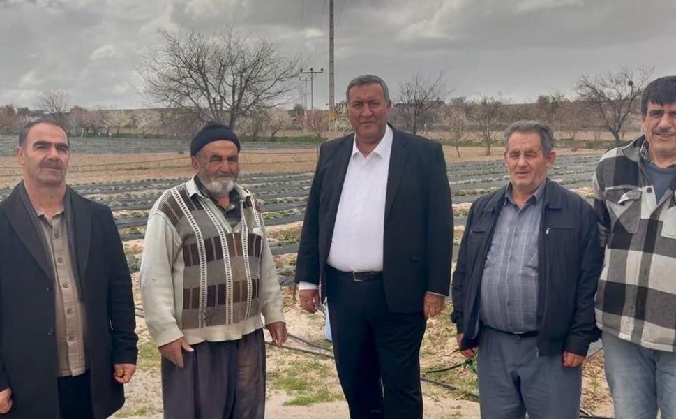 Niğde’de Çilek Üreticisi Dertli: “35 Yıldır Böyle Zor Dönem Görmedim”