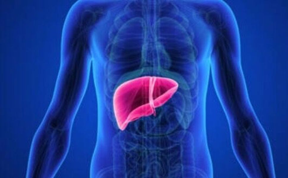 Ameliyatsız “uydu karaciğer” dönemi başlıyor