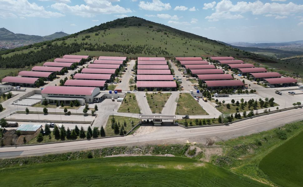 Altındağ’da Kurban Kesim Yerleri Açıklandı: İşte Belirlenen Noktalar
