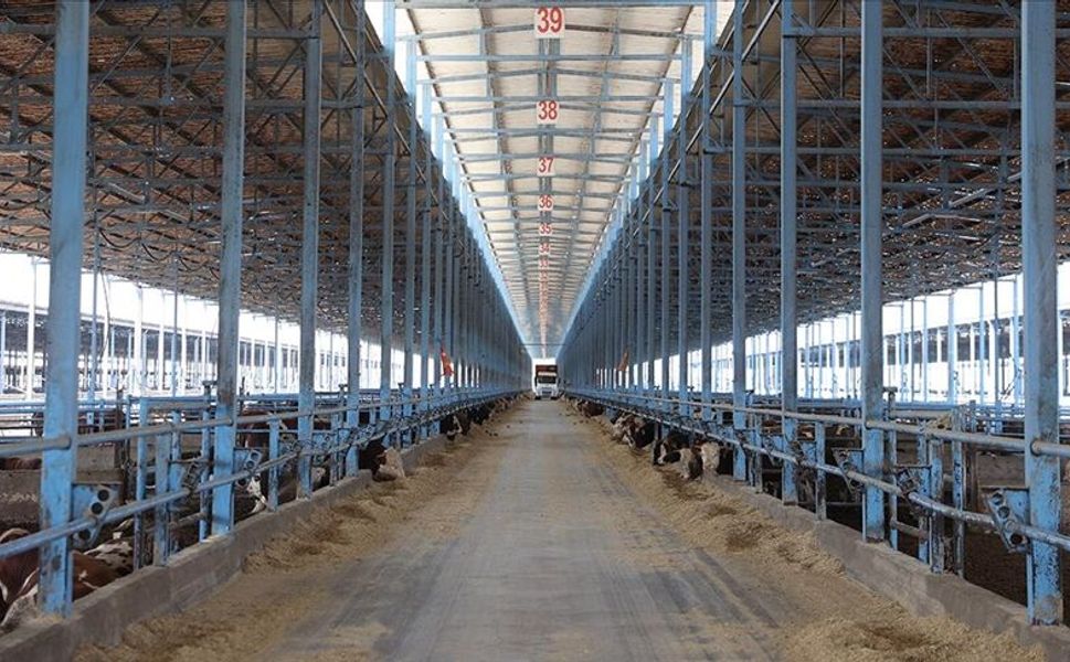 Polatlı’da Besi Çiftliği Faciası: 15 Yaşındaki Çocuk Öldü!