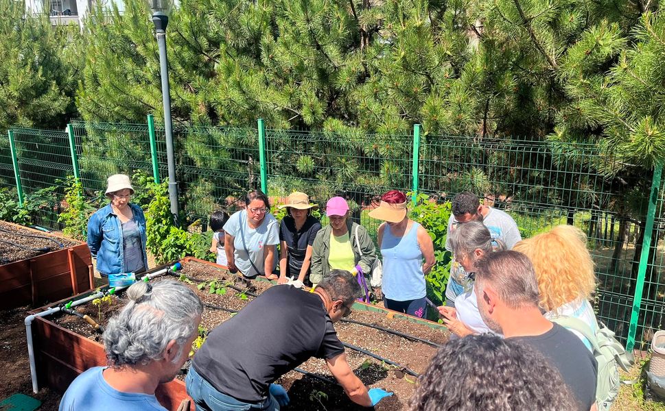Çankaya’nın Kent Bostanlarında Atalık Fideler Toprakla Buluştu