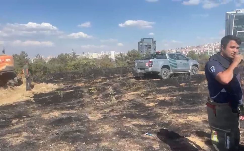 Ankara'da ODTÜ Ormanı'nda yangın