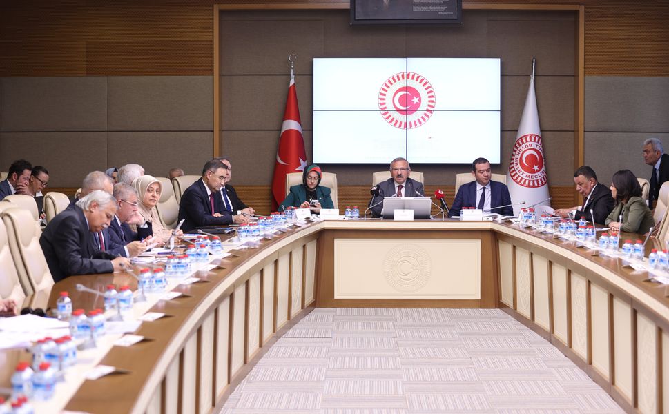 TBMM Komisyonu'nda dikkat çeken silah çağrısı: "Bireysel silahlanmaya sınır getirilmeli"