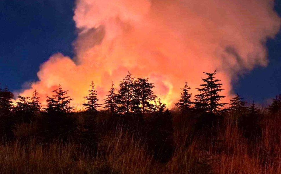 Yenimahalle'de otluk alan yangını havadan ve karadan müdahaleyle söndürüldü