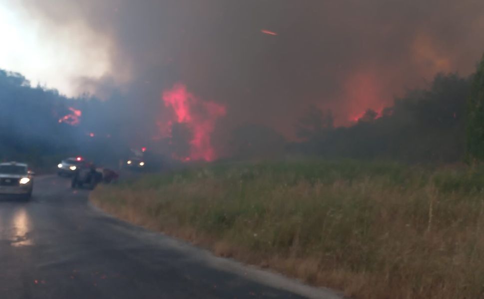 Çanakkale'de Otluk Alanda Yangın Ormana Sıçradı!