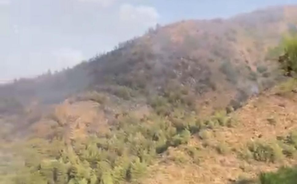 Muğla'da orman yangını devam ediyor!