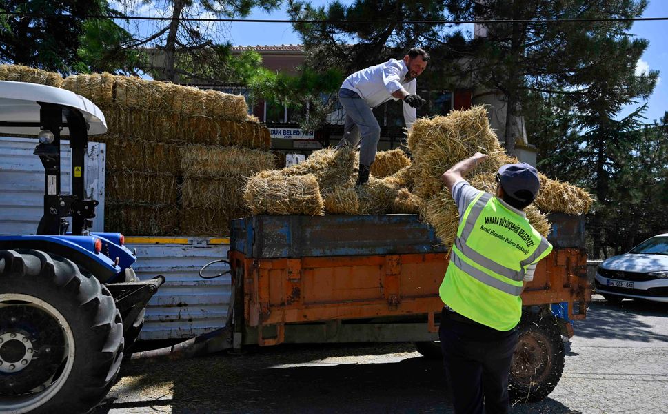 ATA Çiftliği’nde Hasat Kırsaldaki Üreticiye Ulaşıyor