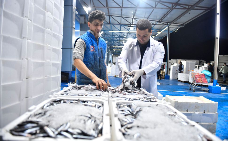 Balık tezgâha çıkmadan kontrolden geçiyor! ABB’den Ankara’da sıkı denetim