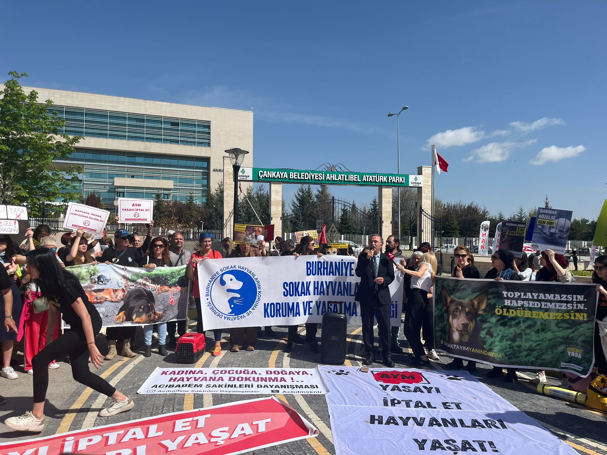 Hayvan Hakları